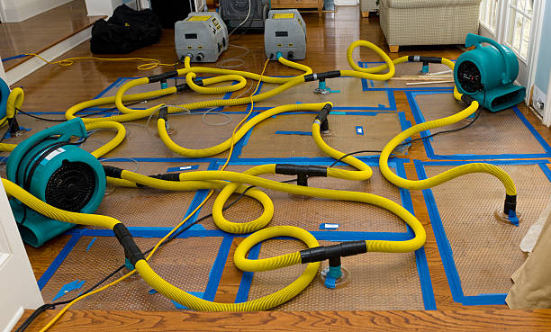 Professional Burst Pipe Water Damage technician working in Ava, OH