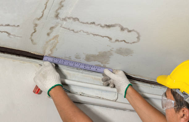 Affordable Water Damage Repair solutions in Ava, OH